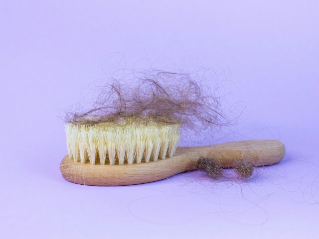 Close-up of a brush with lost hair on it on purple - very pery - background.