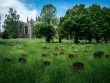 St Mary's Church and graveyard, tombstones surrounded by long green grass, parish church in England.