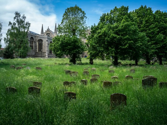 St Mary's Church and graveyard, tombstones surrounded by long green grass, parish church in England.